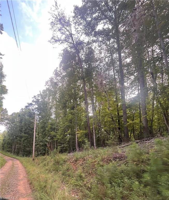 1170 Timber Ridge Road Westfield, NC 27053 - Photo 17 of 20 Gallery Image 17