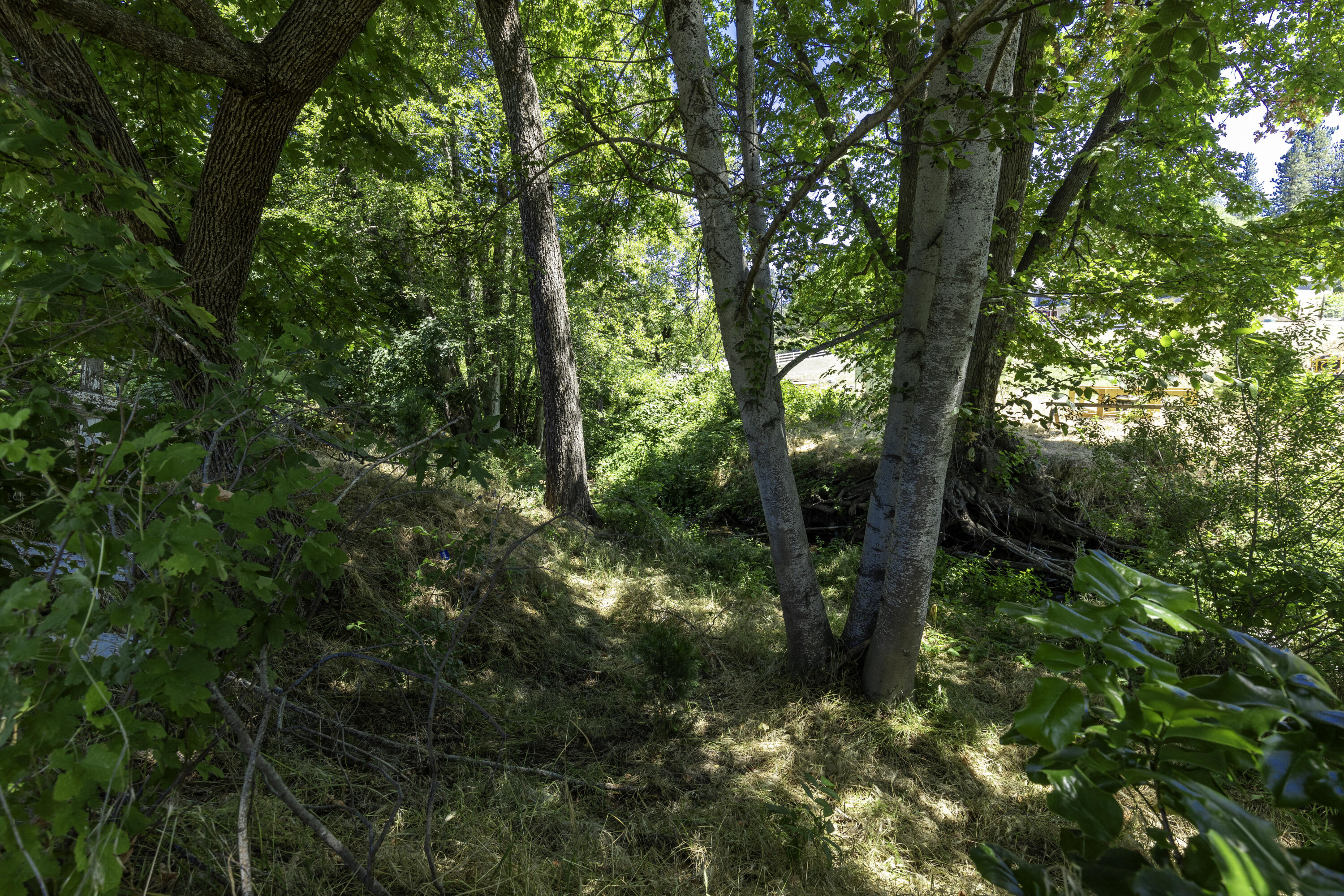7335 Wagner Creek Road Talent, OR 97540 - Photo 11 of 14 797A9200-Edit