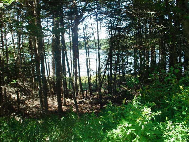 9 Lakeview Road Danforth, ME 04424 - Photo 4 of 11 Land/Lot.