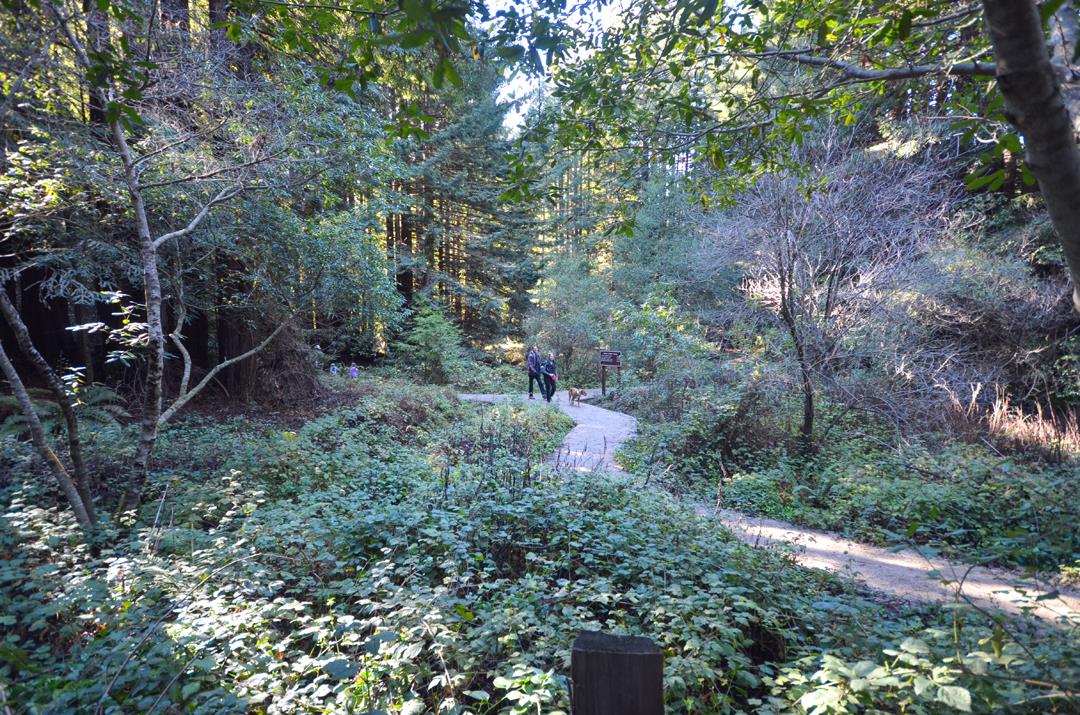 175 Robideaux Road Aptos, CA 95003 - Photo 27 of 34 Gallery Image 27