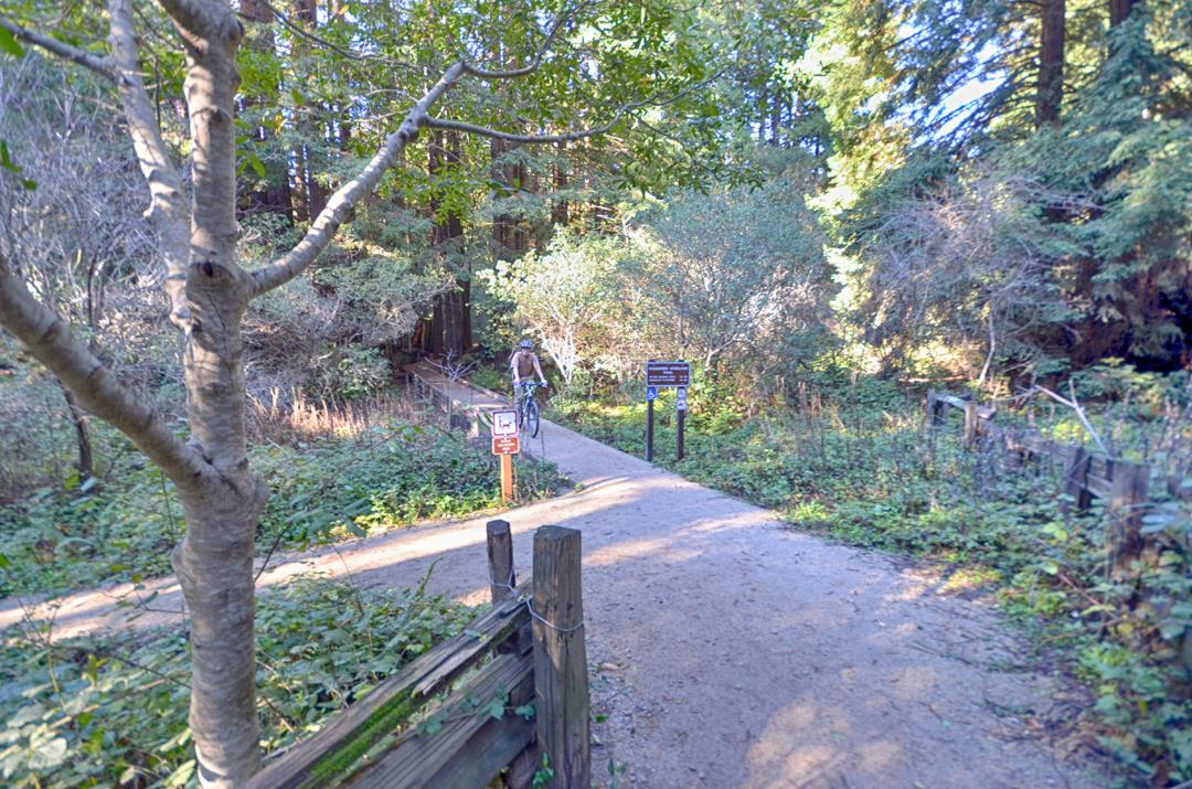 175 Robideaux Road Aptos, CA 95003 - Photo 28 of 34 Gallery Image 28
