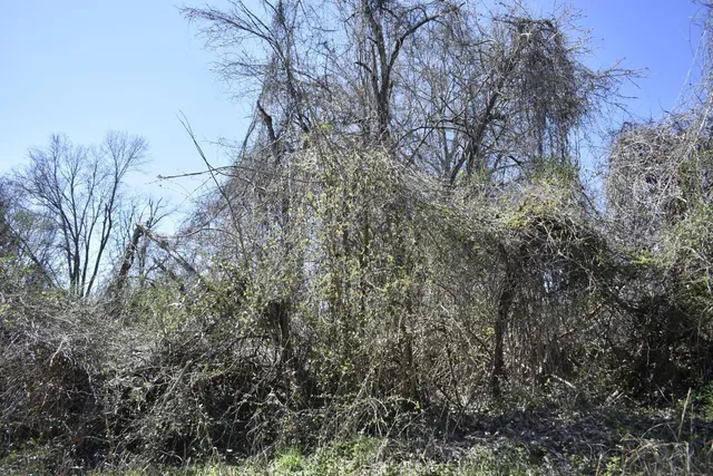 $7,500 | 0 Gate Street, Rossville, GA 30741