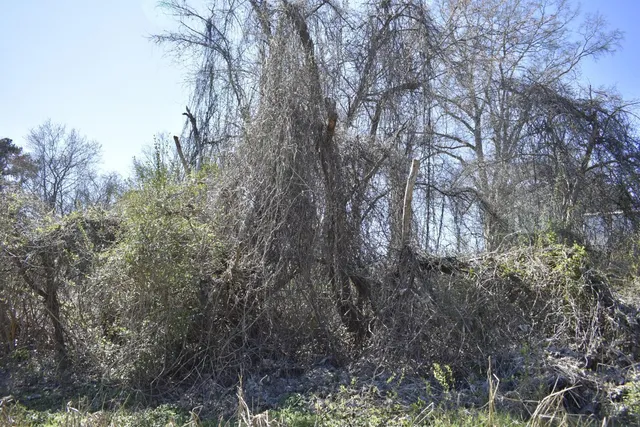 $7,500 | 0 Gate Street, Rossville, GA 30741