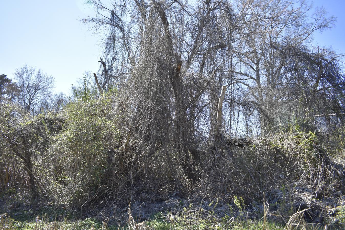 0 Gate Street Rossville, GA 30741 - Photo 4 of 7 _DSC0679