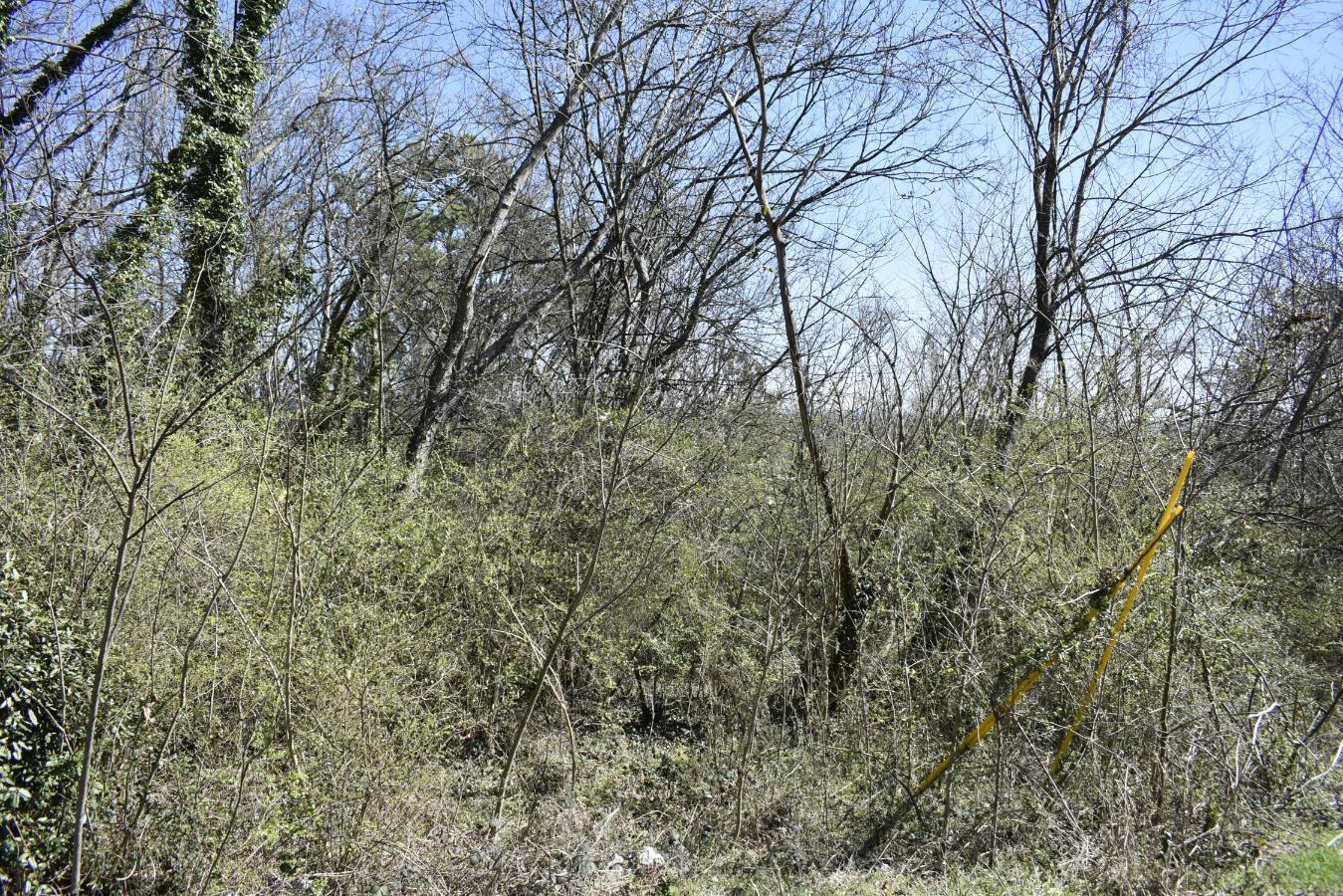 0 Gate Street Rossville, GA 30741 - Photo 6 of 7 _DSC0683