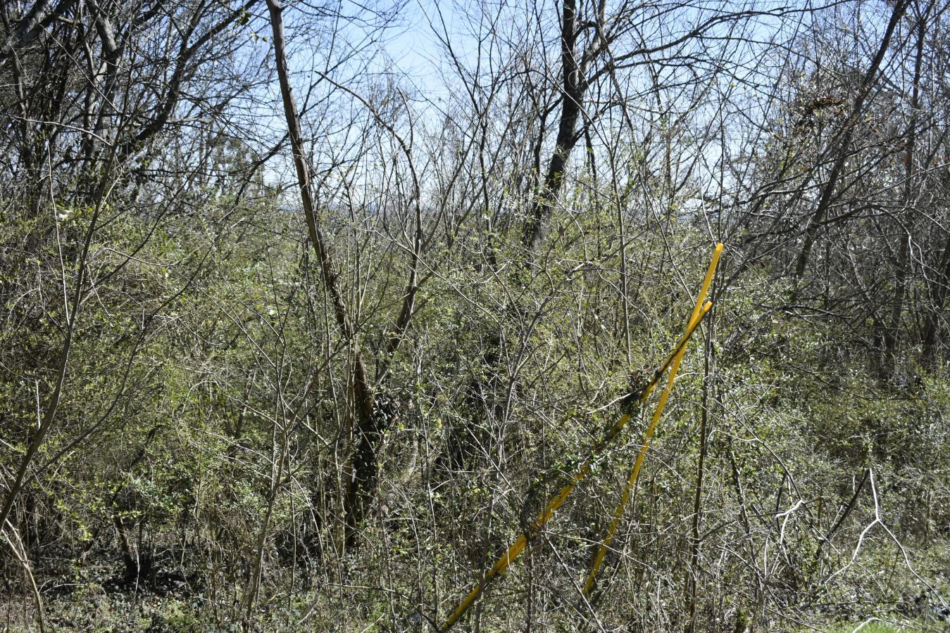 0 Gate Street Rossville, GA 30741 - Photo 7 of 7 _DSC0684