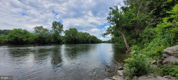 a body of water with a tree in the background
