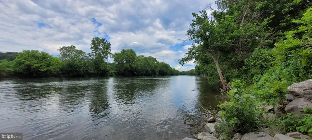 a body of water with a tree in the background
