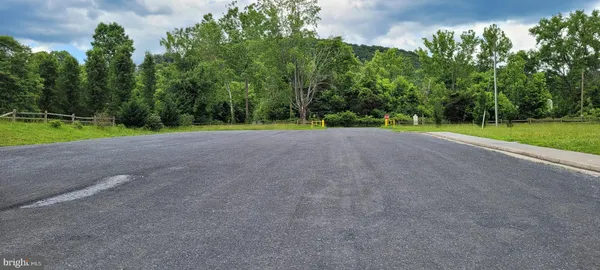 a view of a garden with a slide