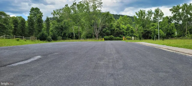 a view of a garden with a slide