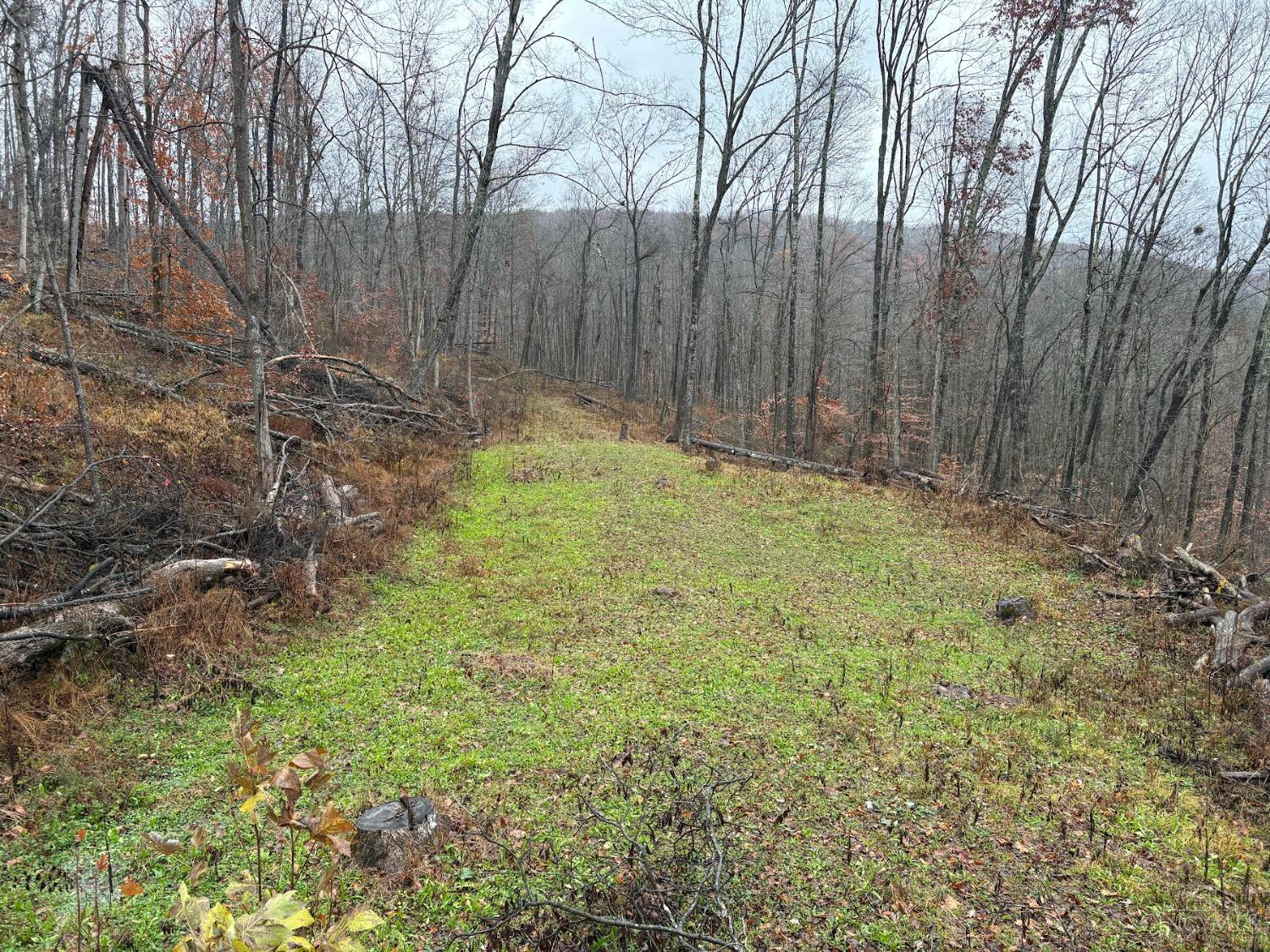 Ac Beech Fork Road Peebles, OH 45660 - Photo 26 of 49