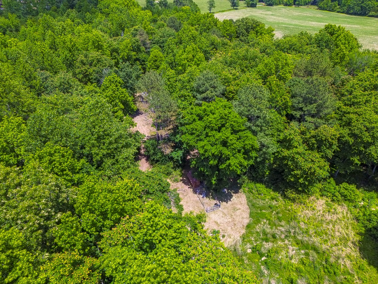 23 Grassy Branch Road Flintville, TN 37335 - Photo 13 of 24 a backyard of a house with a yard and outdoor seating