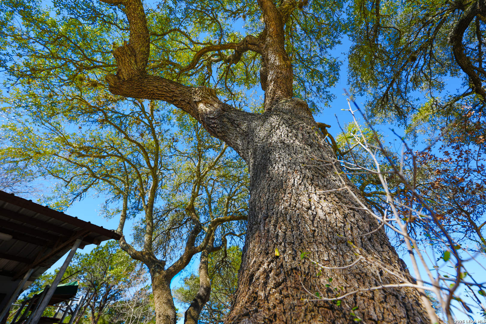 713 Lake Forest Road Pipe Creek, TX 78063 - Photo 44 of 65