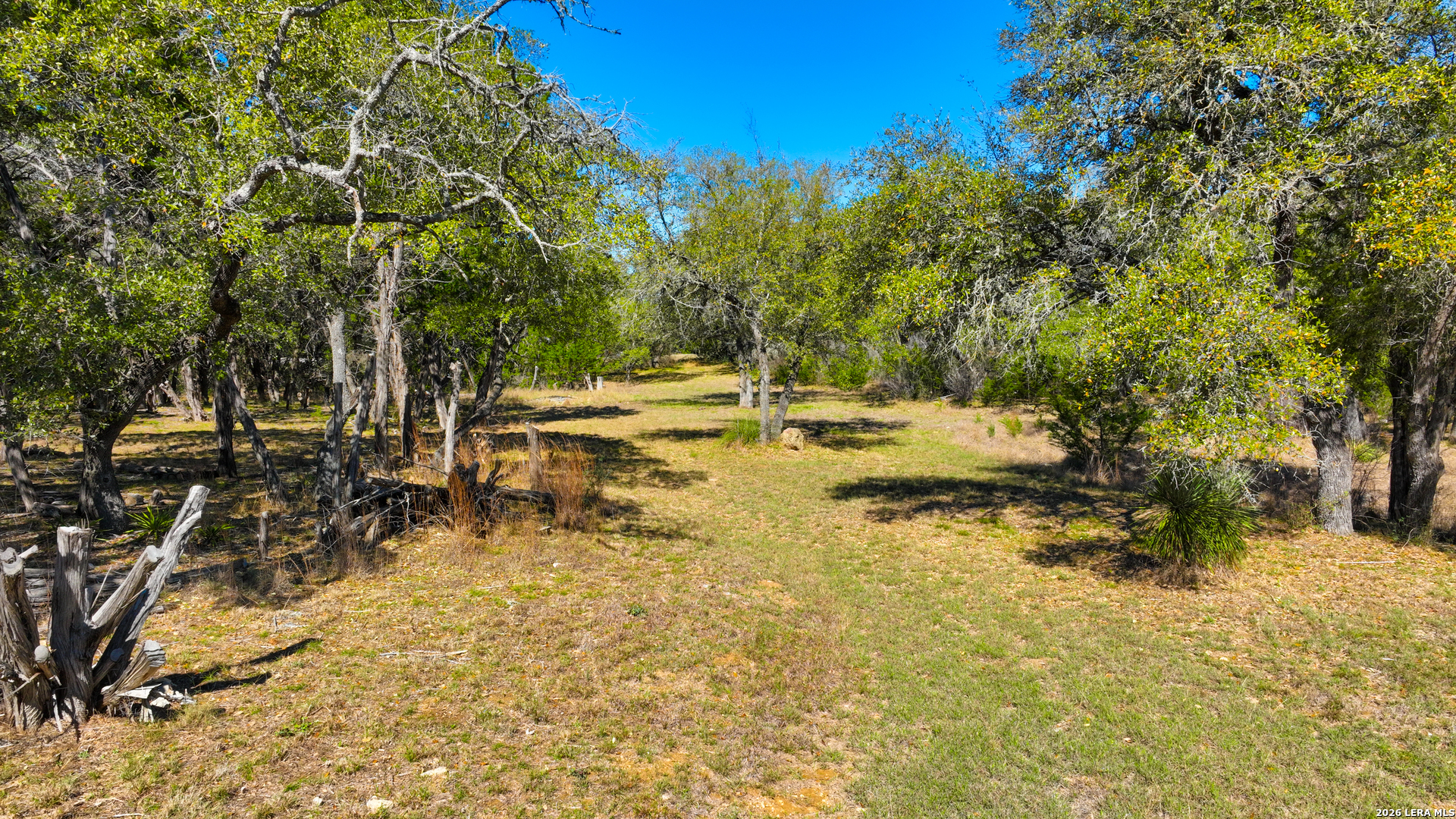 713 Lake Forest Road Pipe Creek, TX 78063 - Photo 5 of 65 a view of yard with trees