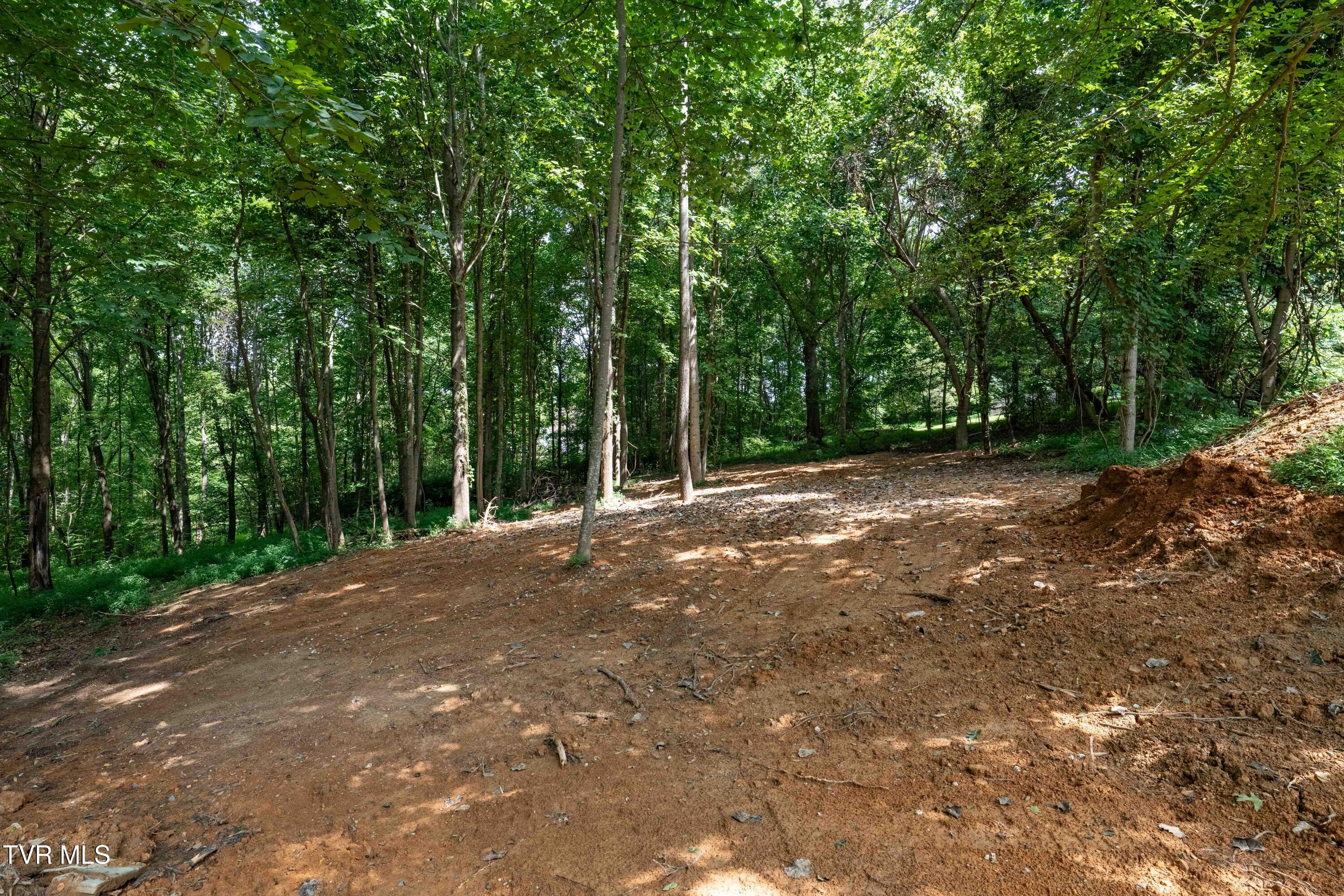161 Cochran Road Jonesborough, TN 37659 - Photo 7 of 40 161 Chochran Rd (6 of 40)