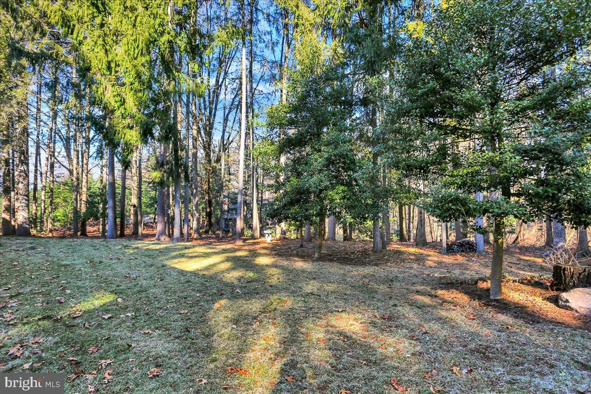 338 Candy Road Mohnton, PA 19540 - Photo 52 of 63 a view of a backyard with large trees