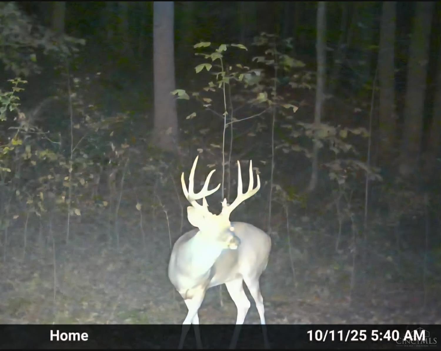 1025 Davis Road Peebles, OH 45660 - Photo 59 of 63