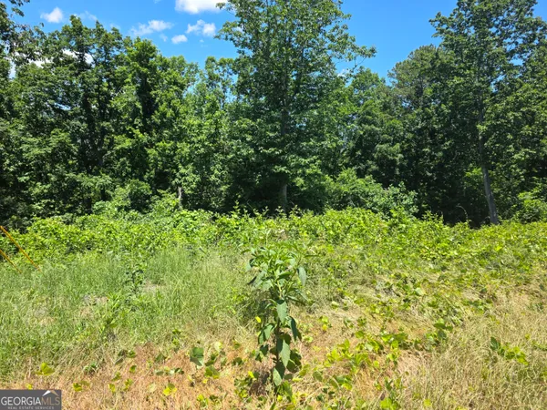 $172,000 | 0 Cowart Mountain Tract 2 Road, Jasper, GA 30143