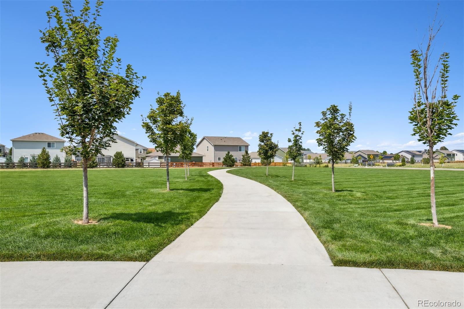 7402 Crystal Avenue Frederick, CO 80530 - Photo 18 of 26 a view of a park with plants and trees