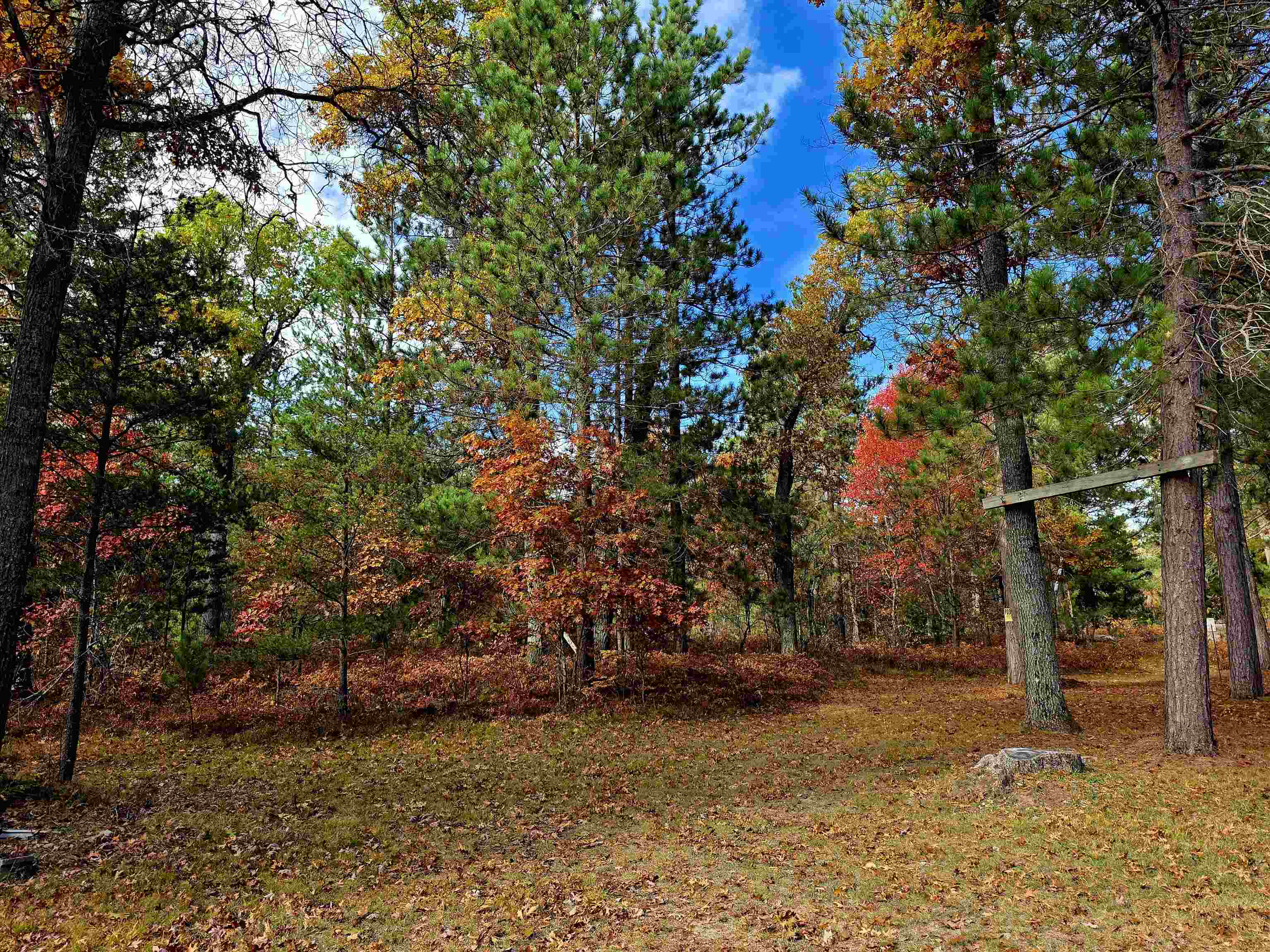 2498 West 5 Mile Road Grayling, MI 49738 - Photo 39 of 41