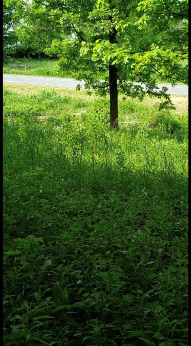 0 Stauber Road Groton, NY 13073 - Photo 2 of 13
