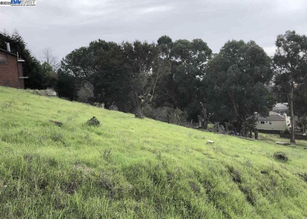 26550 Hayward Boulevard Hayward, CA 94542 - Photo 3 of 4 a backyard of a house with lots of green space