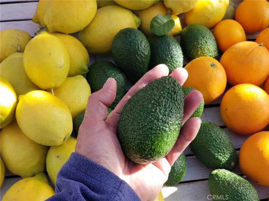 1806 Madison Street Redlands, CA 92374 - Photo 30 of 31 a bathroom with a large mirror