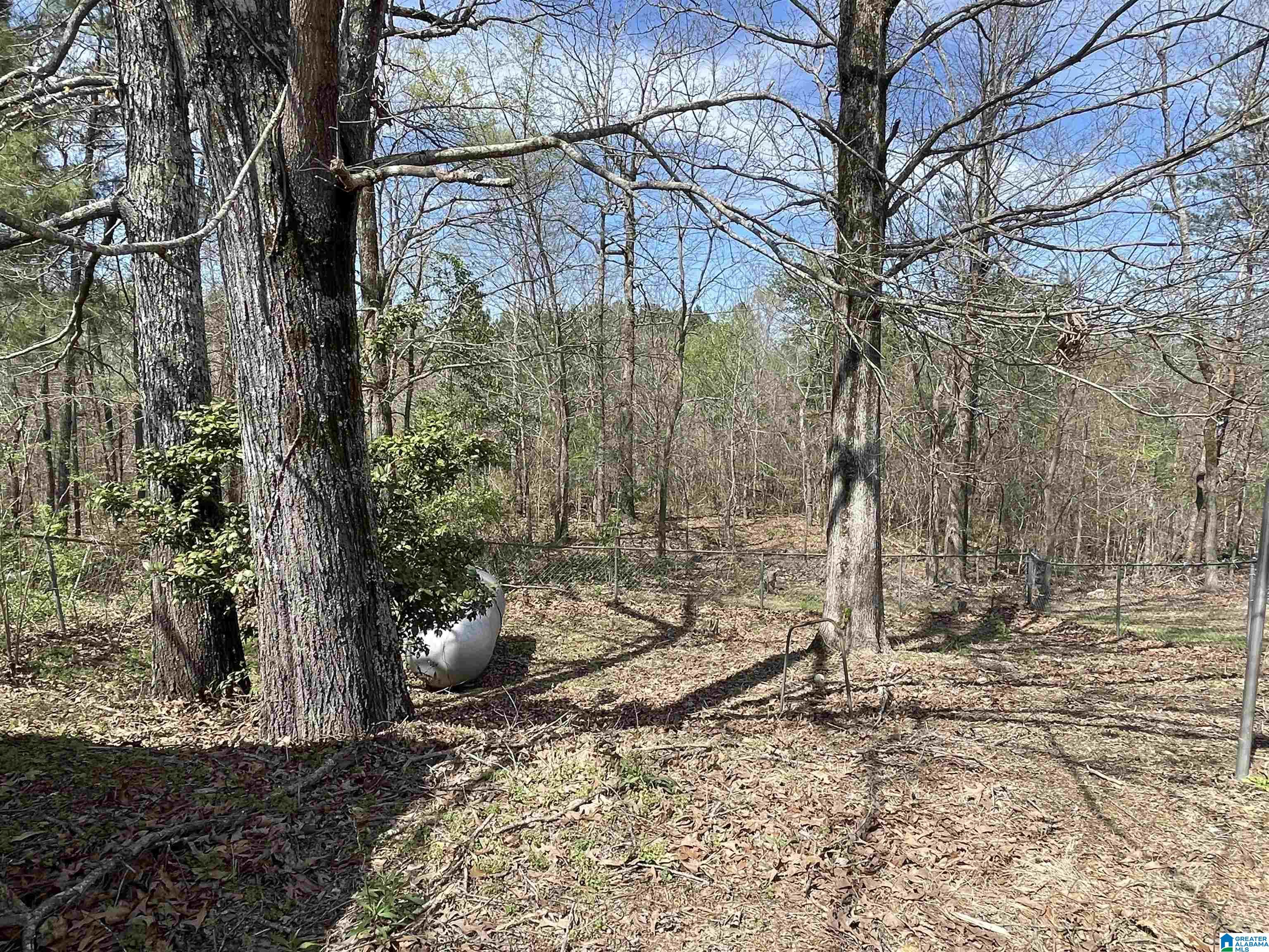 286 Doe Trail Trafford, AL 35172 - Photo 29 of 32