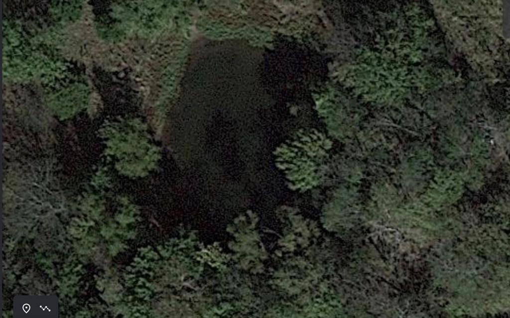 0 Rains County Road 1402 Point, TX 75472 - Photo 6 of 11 Aerial overview of property's location