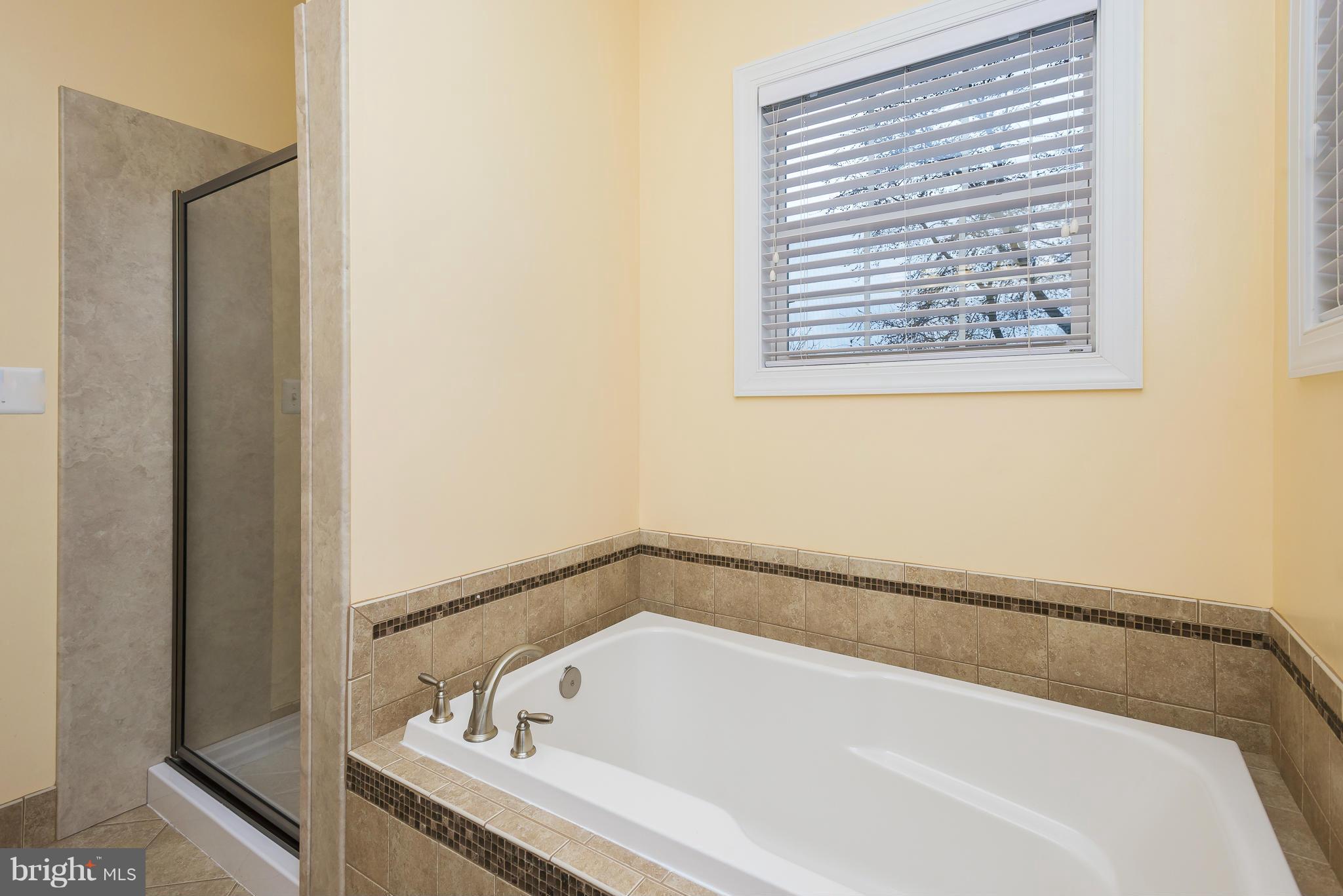599 Londontown Road Edgewater, MD 21037 - Photo 20 of 30 Bath (Master)