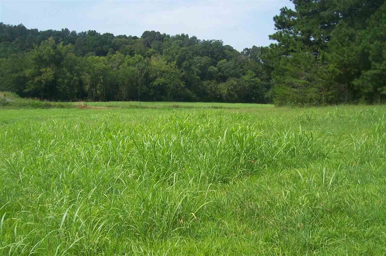 642 Athens Road Calhoun, TN 37309 - Photo 13 of 33 Gallery Image 13
