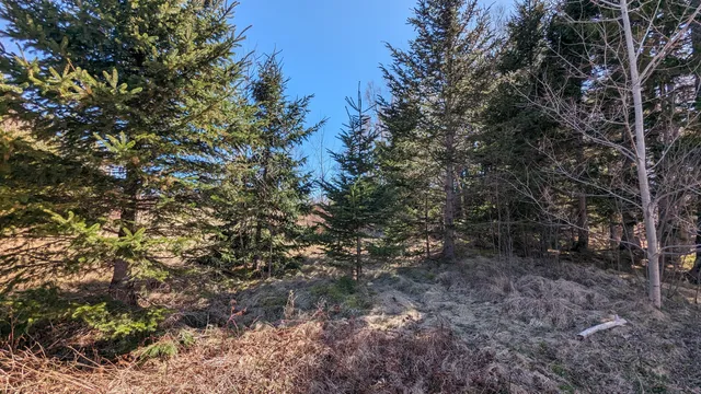 $34,900 | 2 Janney Street, Eastport, ME 04631