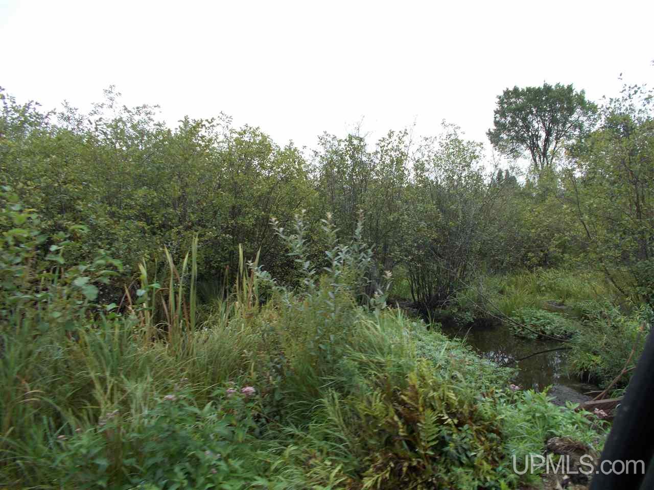 40-ac Park Farms Road Amasa, MI 49903 - Photo 2 of 9