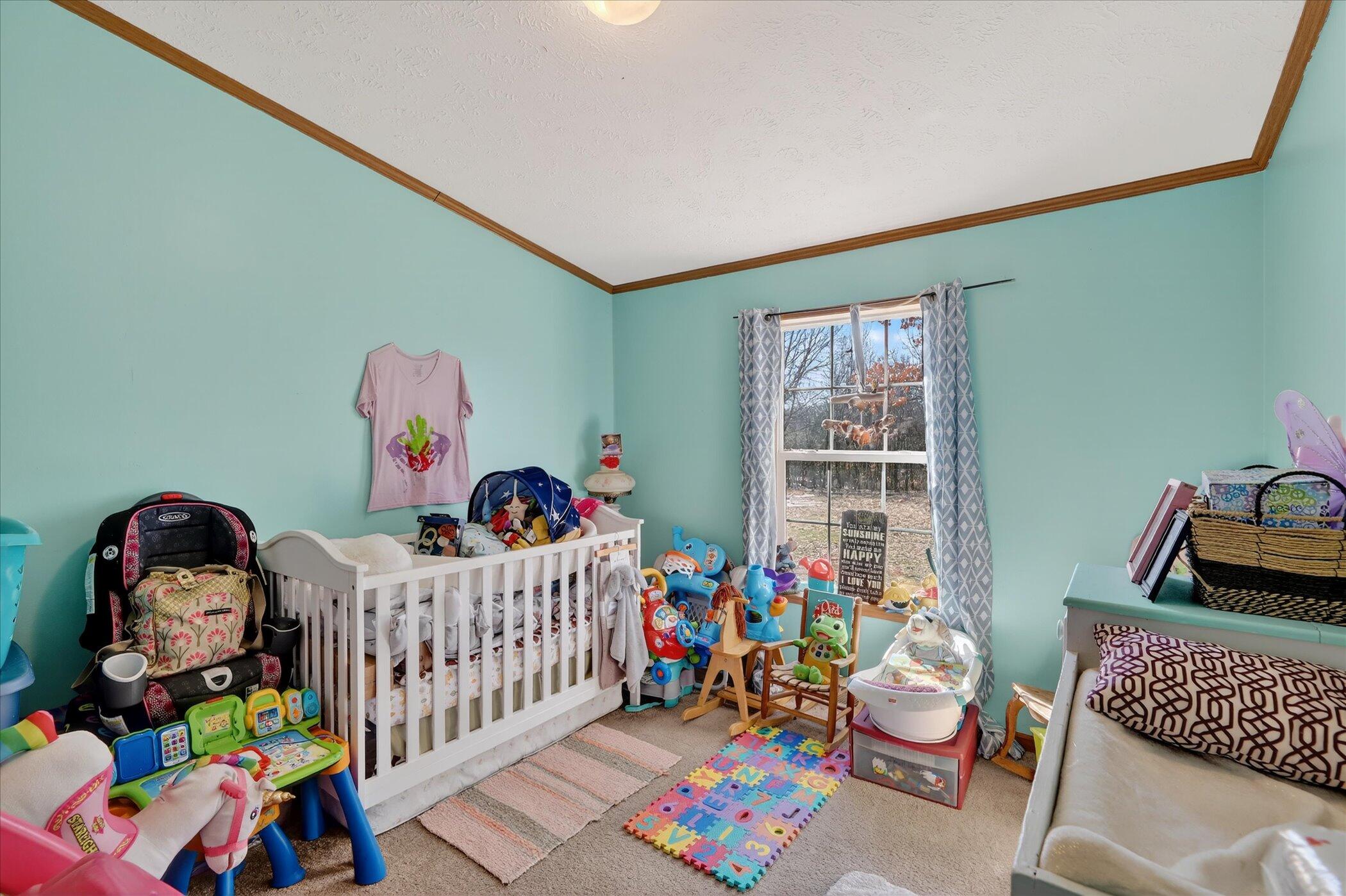 42165 85th Avenue Decatur, MI 49045 - Photo 9 of 14 21-42165-85th-Ave-Decatur-MI-49045-Windo