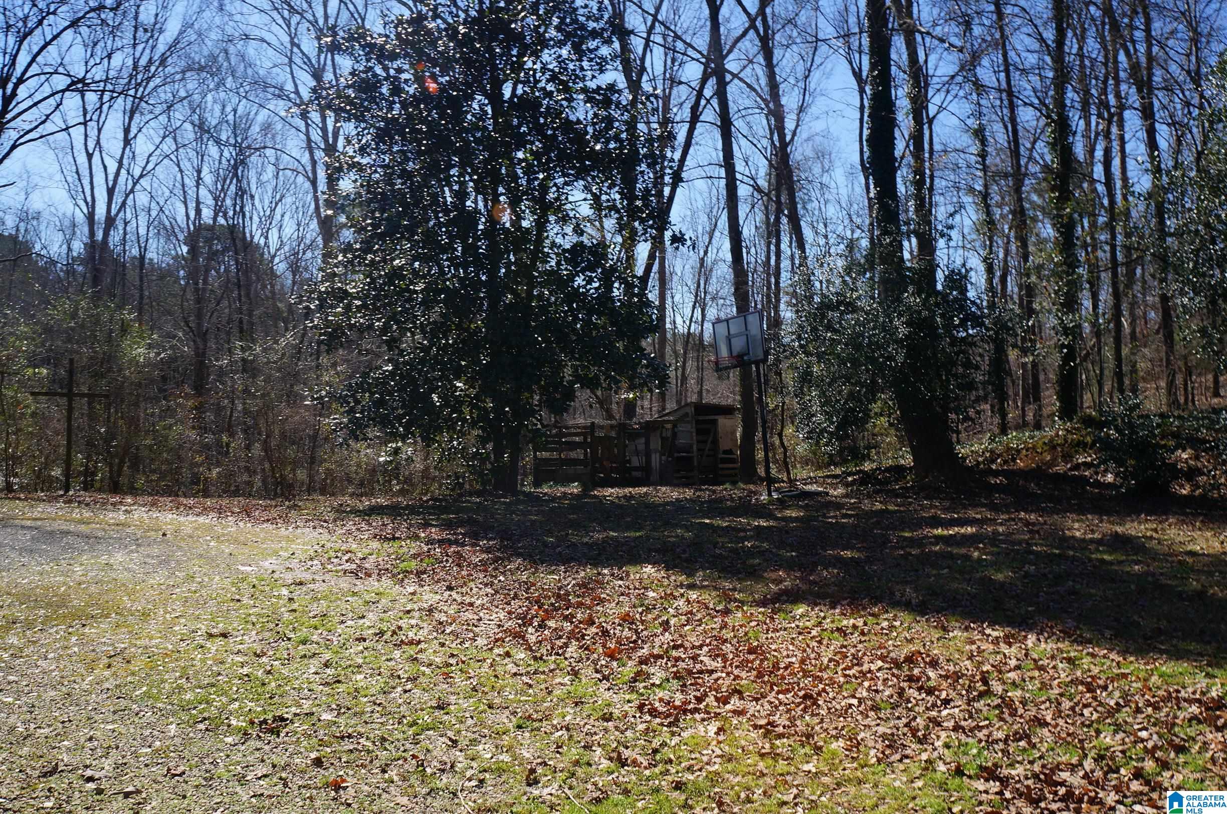 2410 Taylors Mill Road Talladega, AL 35160 - Photo 11 of 50