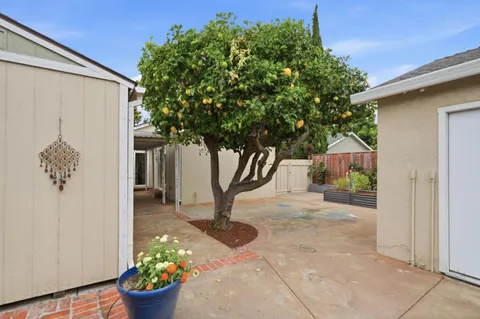 a view of a house with a flower garden