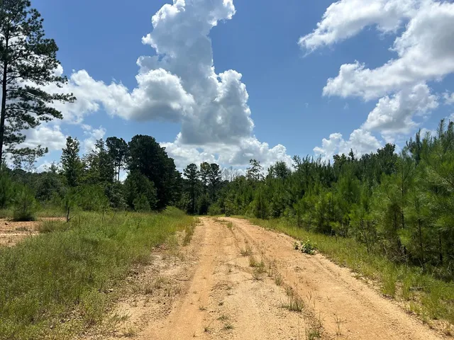 $85,200 | Tbd Tbd Highway, Ruth, MS 39662