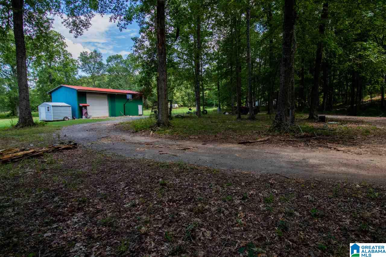 2245 Cedar Creek Road Sylacauga, AL 35151 - Photo 4 of 21