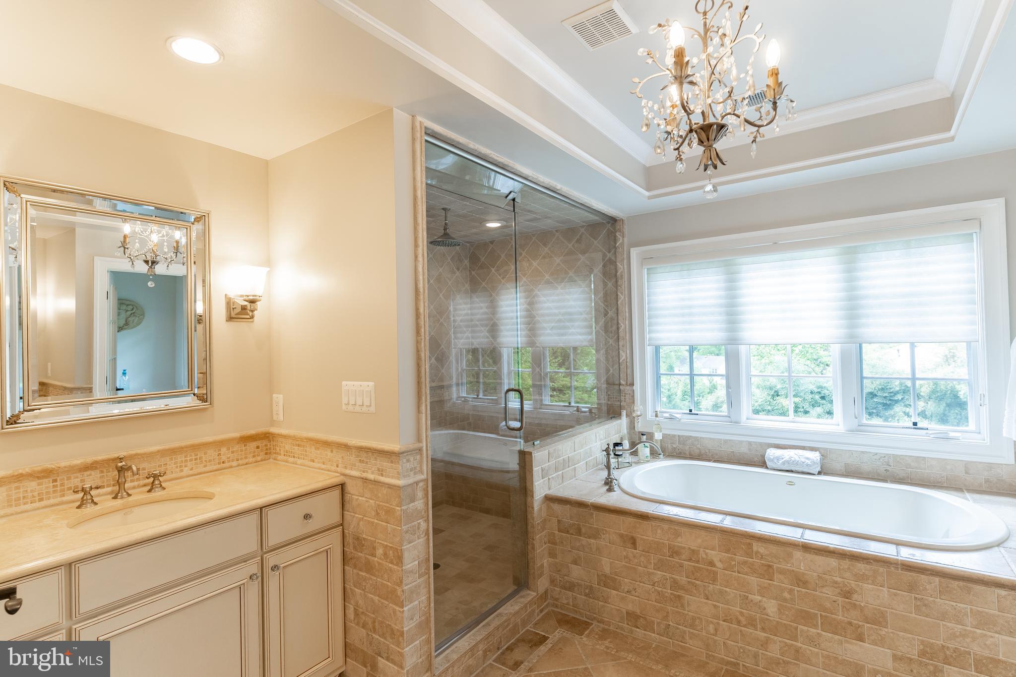 8582 Brickyard Road Potomac, MD 20854 - Photo 20 of 35 Owners' Suite Marble Bath with Jacuzzi Tub