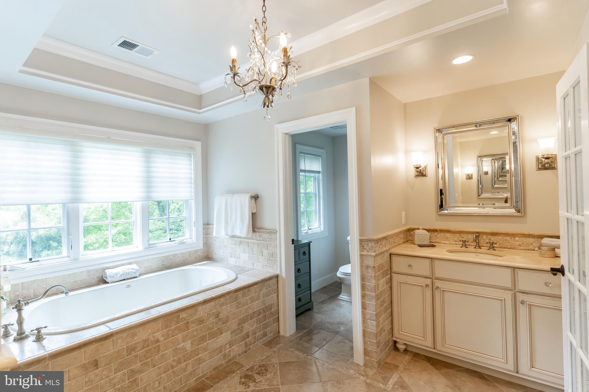 8582 Brickyard Road Potomac, MD 20854 - Photo 21 of 35 Owners' Suite Marble Bath