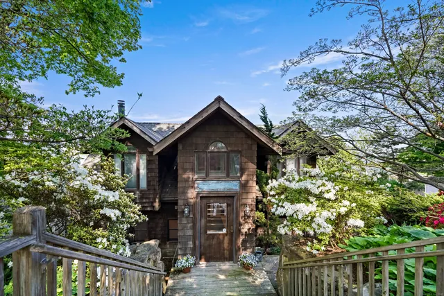 a view of a yard with plants and a large tree