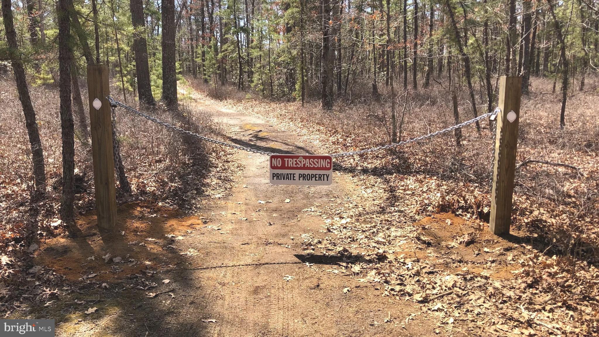 229 Honest John Road Woodbine, NJ 08270 - Photo 1 of 7 a backyard of a house with lots of green space