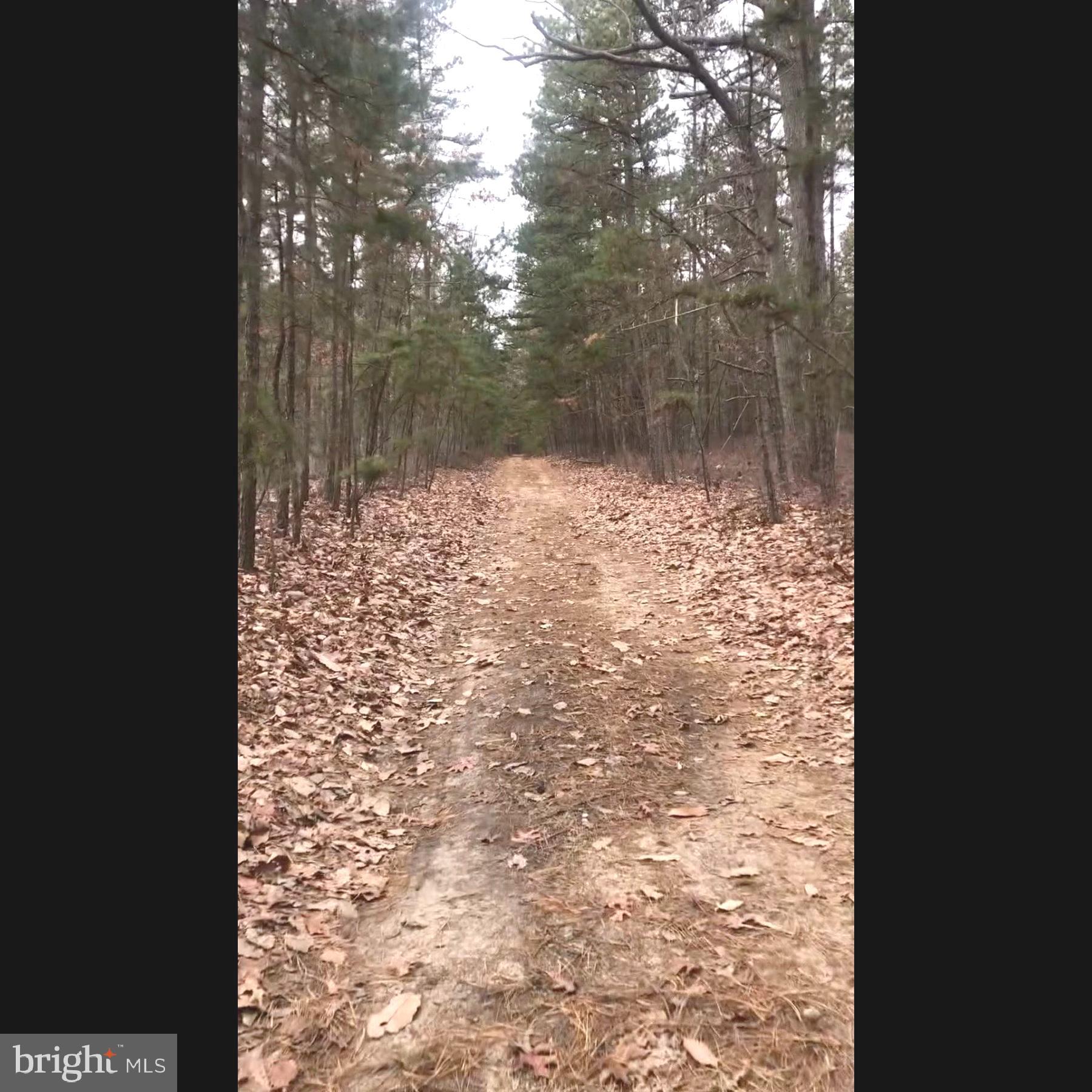229 Honest John Road Woodbine, NJ 08270 - Photo 2 of 7 a view of a yard from a corridor