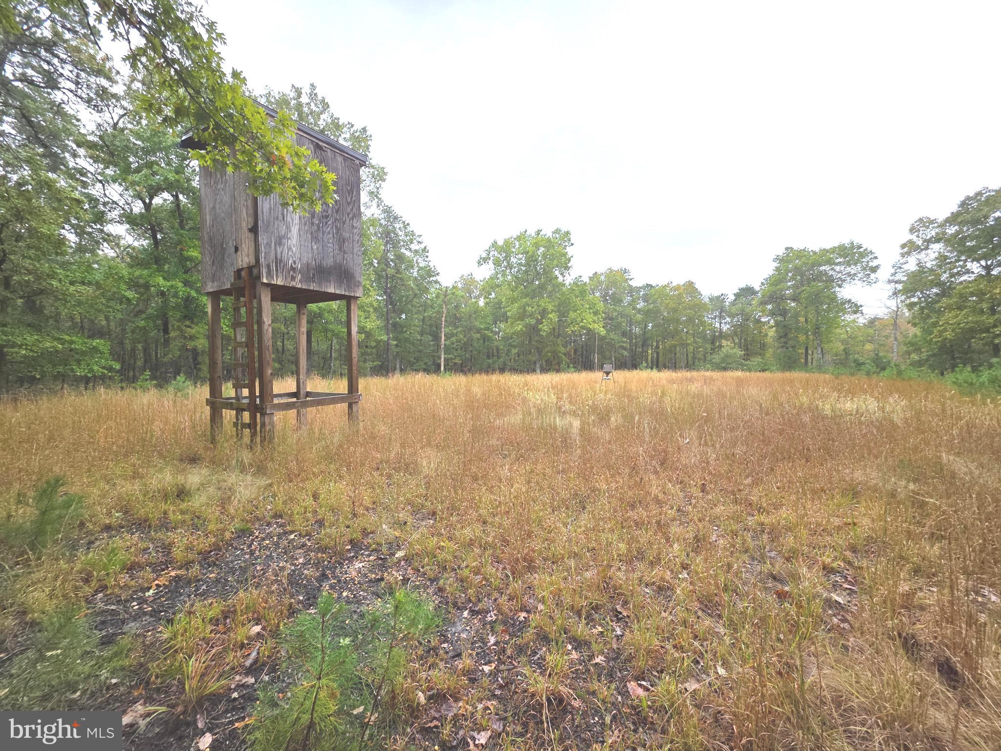229 Honest John Road Woodbine, NJ 08270 - Photo 3 of 7 a backyard of a house with lots of green space