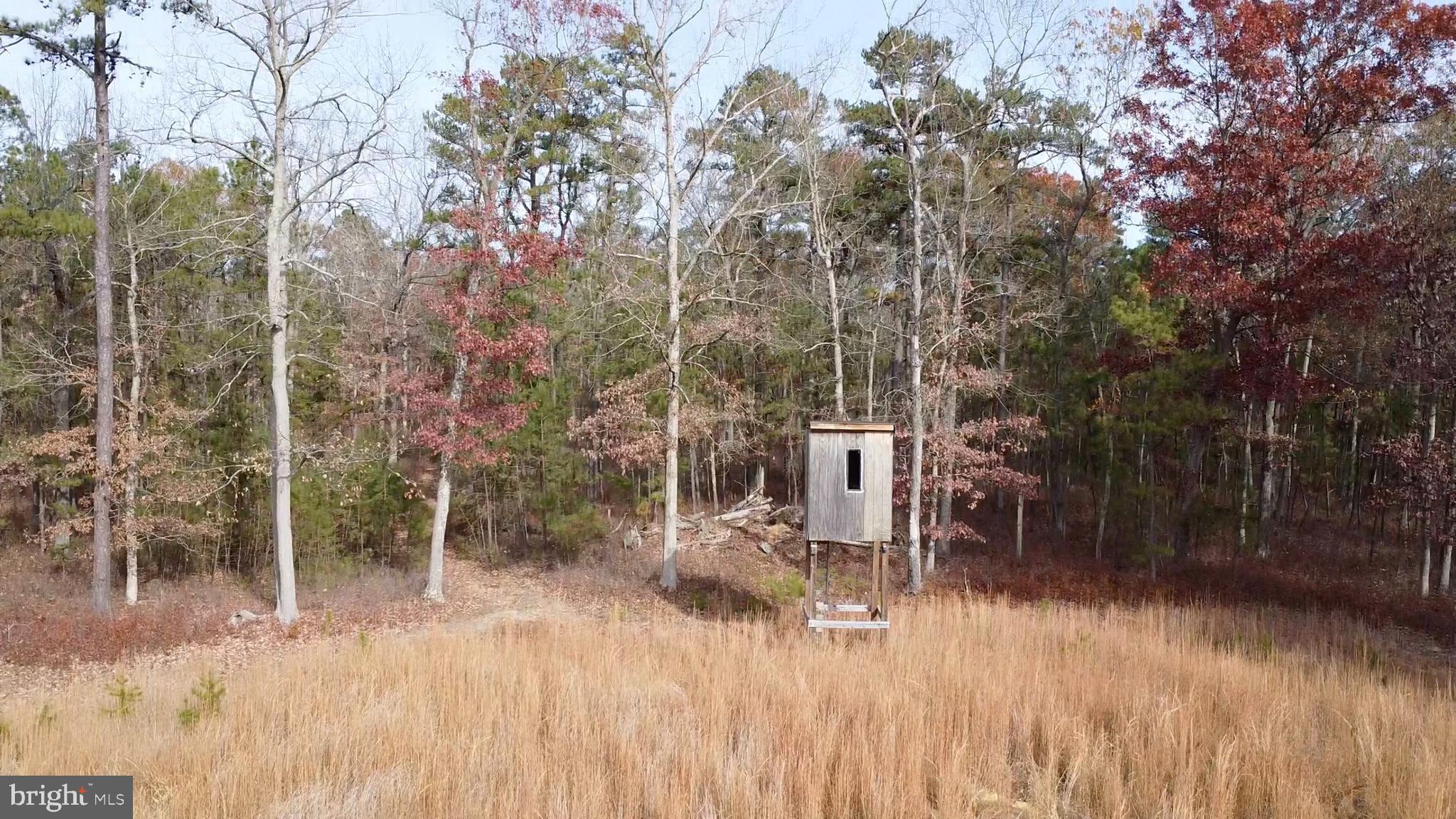 229 Honest John Road Woodbine, NJ 08270 - Photo 4 of 7 a backyard of a house with table and chairs