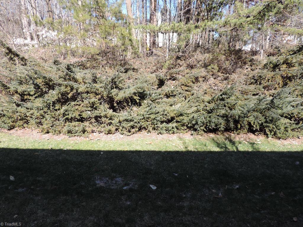 1607 Ternberry Road High Point, NC 27262 - Photo 14 of 15 Gallery Image 14