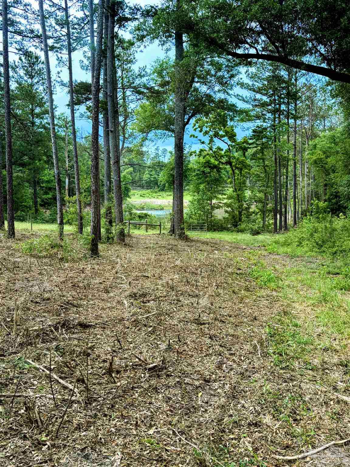 9023 County Road Millry, AL 36558 - Photo 37 of 72