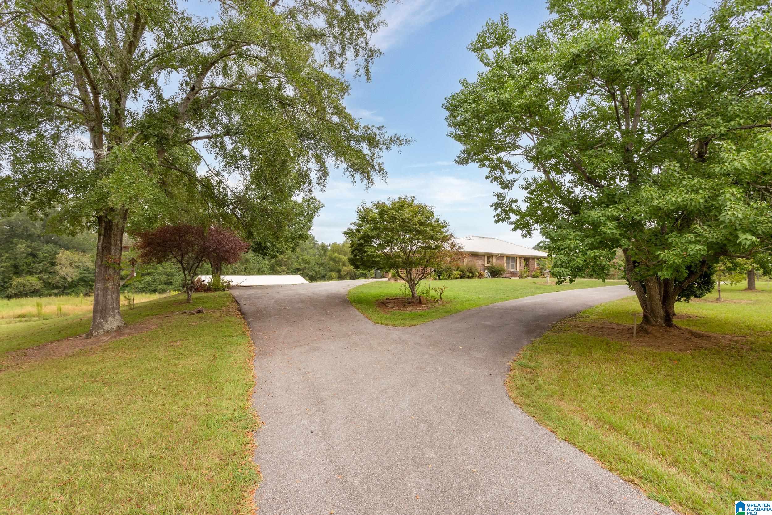 11781 Highway 144 Ragland, AL 35131 - Photo 3 of 49