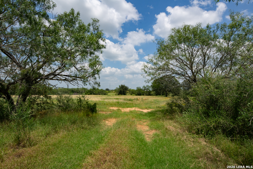 1393 Fox Trotter Road Seguin, TX 78155 - Photo 19 of 46