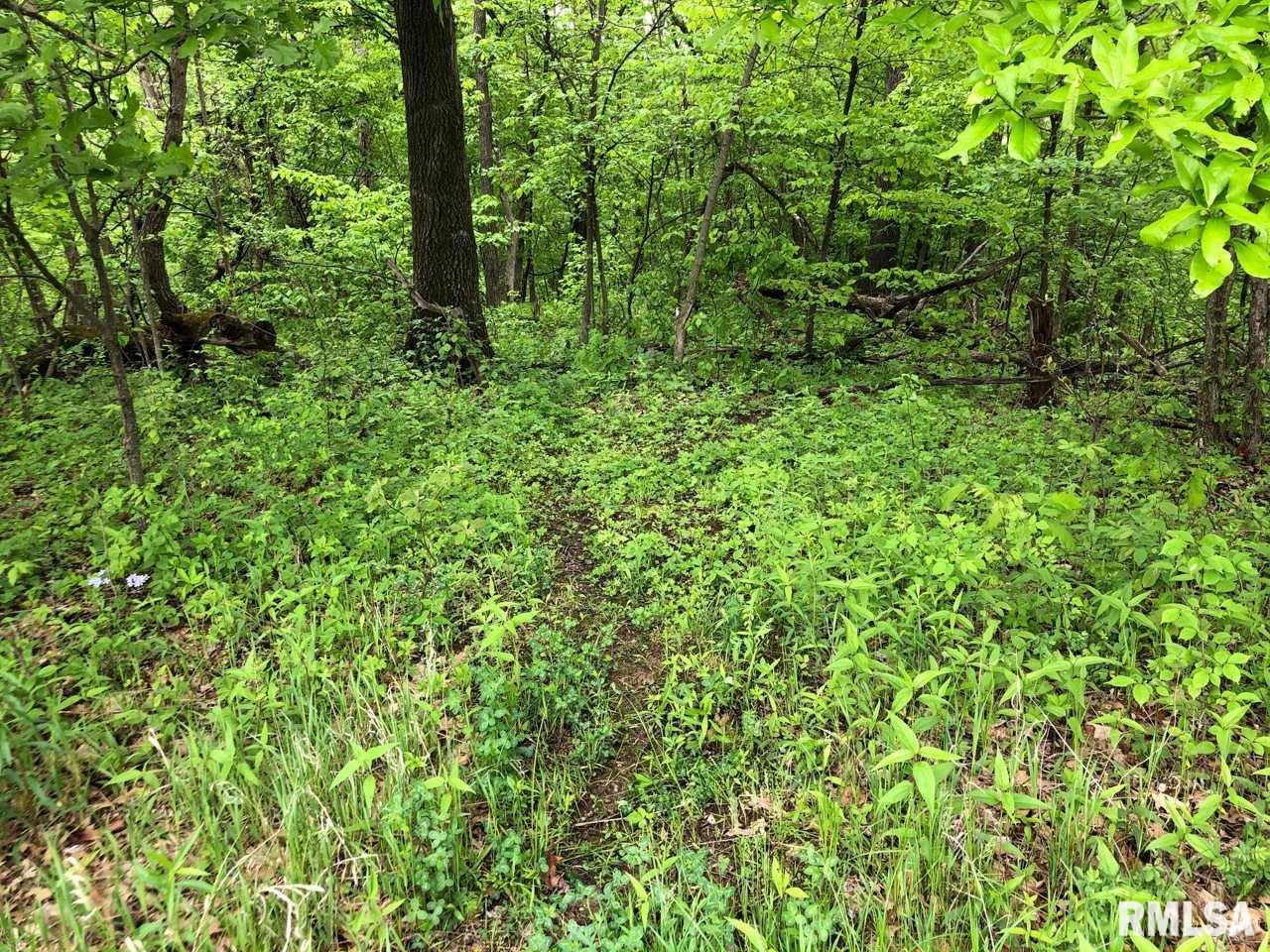 18284 Freeman Mine Road Littleton, IL 61452 - Photo 11 of 43